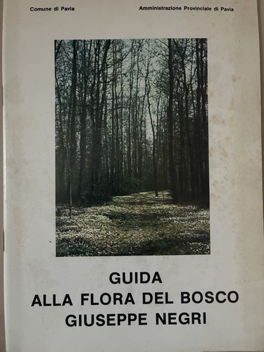 Libri antichi collezione - libri,