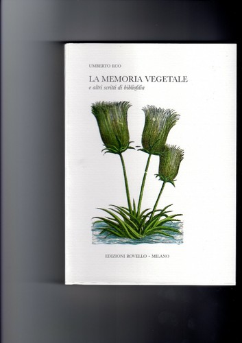 Libri antichi collezione - libri,