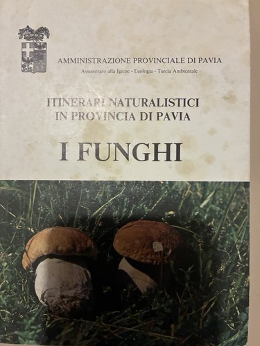 Libri antichi collezione - libri, da